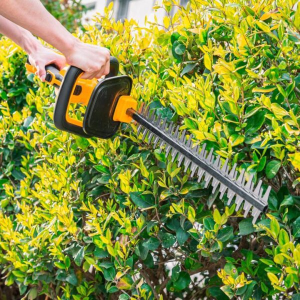 Máy cắt tỉa hàng rào 20V Ingco CHTLI20018 Chính Hãng 2